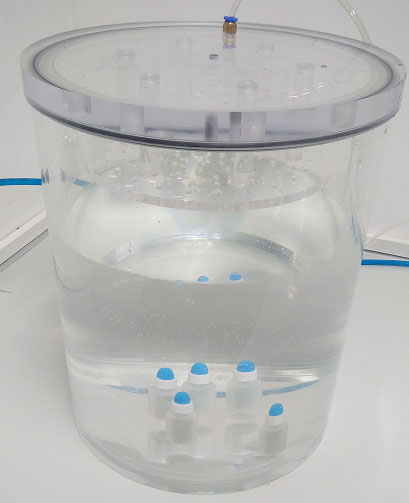 Plastic containers undergoing a sealed leak test